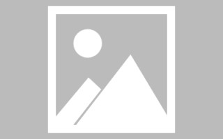 朝阳山东网络网站搭建特点（山东网站建设app）